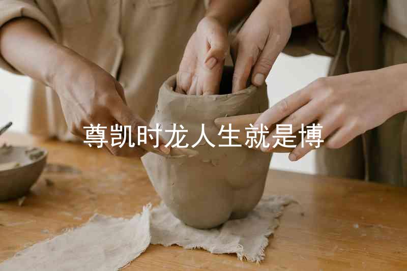 尊凯时龙人生就是博