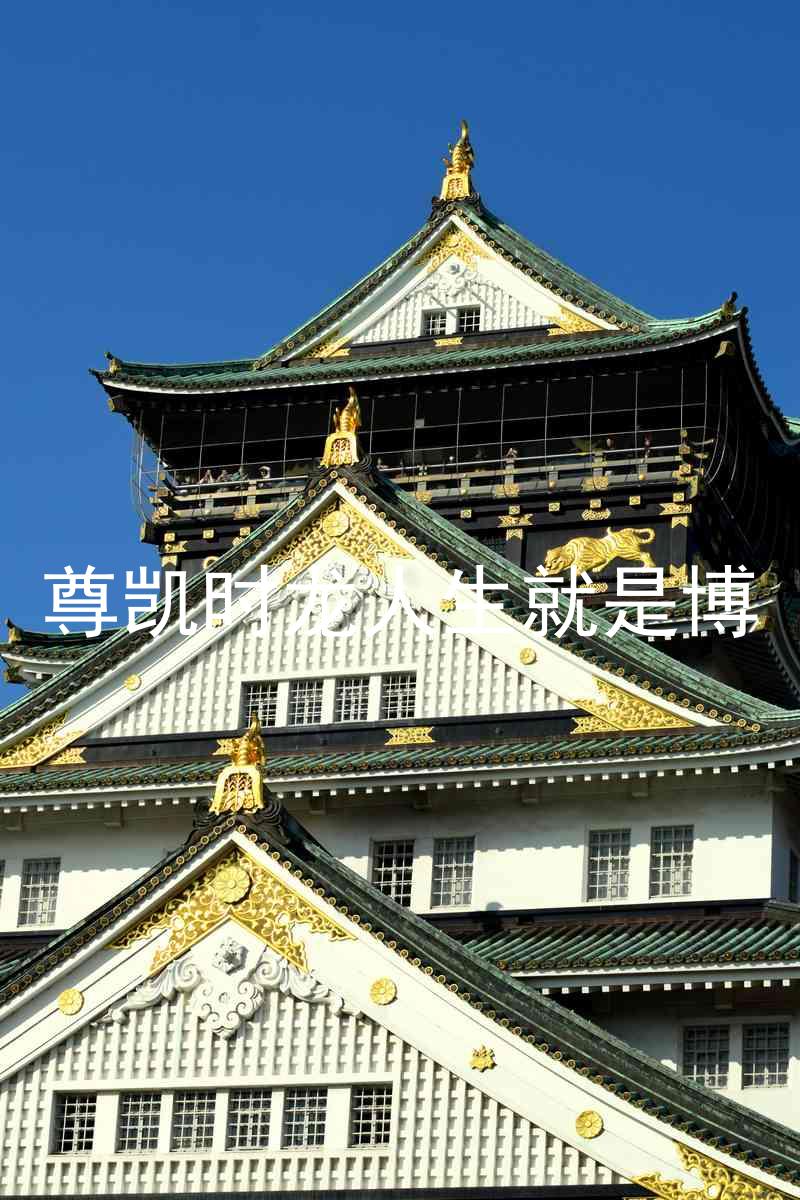 尊凯时龙人生就是博