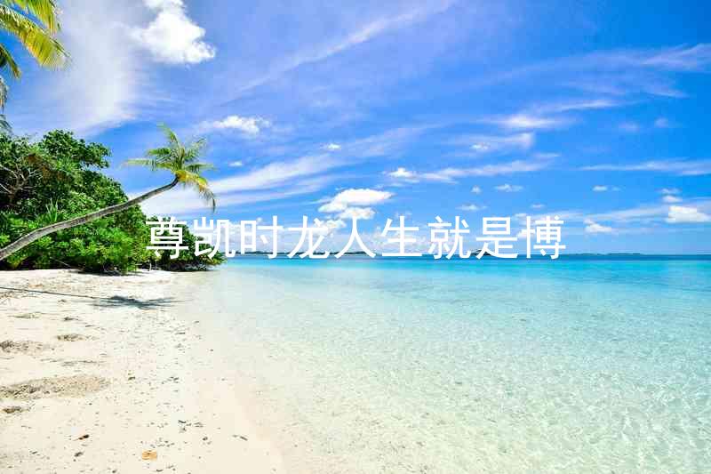 尊凯时龙人生就是博