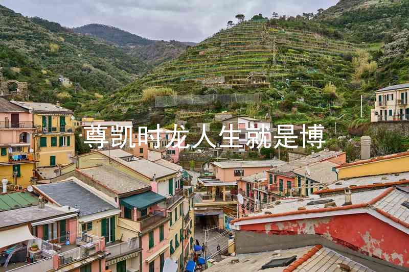 尊凯时龙人生就是博